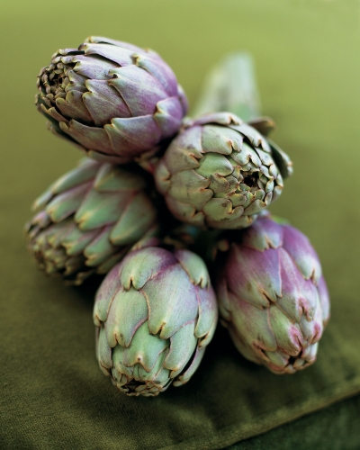 Artichoke ingredient photography by Stephen Conroy Food Photographer
