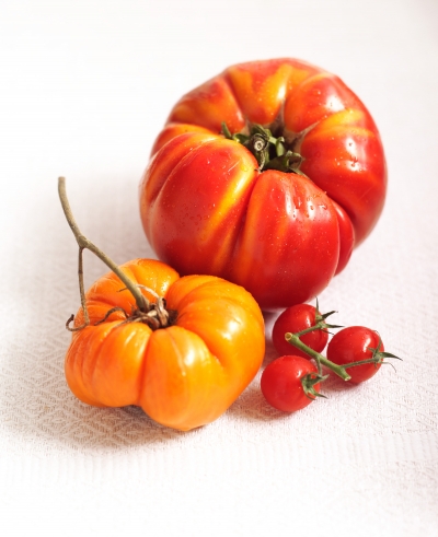 Marmon Tomato ingredient photography by Stephen Conroy Food Photographer