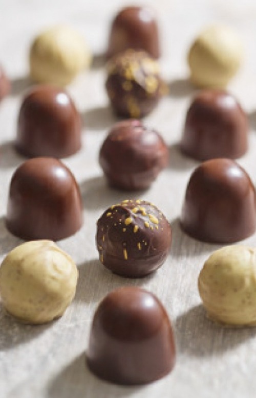 Stephen Conroy Photographer, Main studio hire