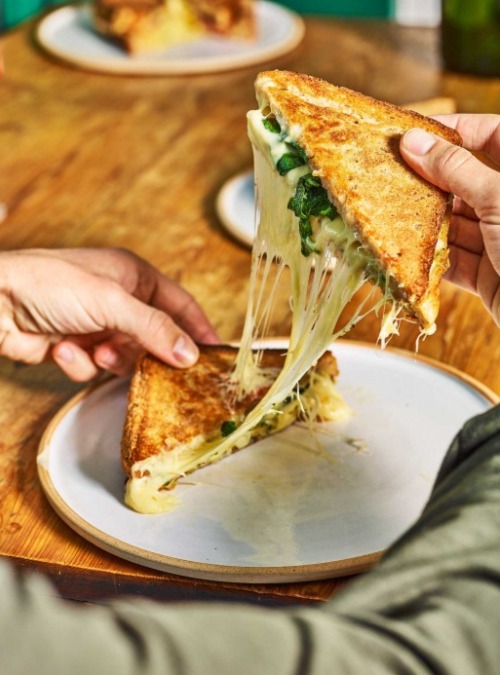 Cookbook Photography, Stephen Conroy